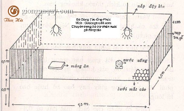Hướng dẫn làm chuồng nuôi gà đông tảo