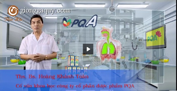 Gà quý phi bố mẹ