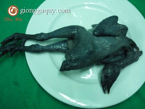 Gà ác và những món ăn có lợi cho sức khỏe