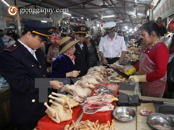 Heo hơi và gạo ngon tăng giá