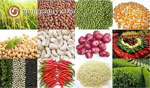 Tóm tắt tình hình sản xuất chăn nuôi quý I năm 2016