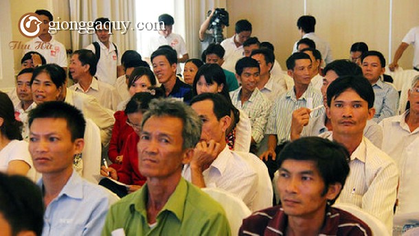 Người chăn nuôi cam kết không sử dụng chất cấm