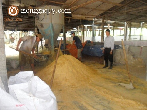 Sản xuất thức ăn tự chế cho lợn đạt hiệu quả cao