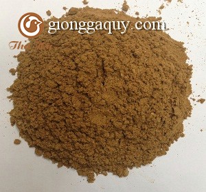 Thức ăn đậm đặc cho gà