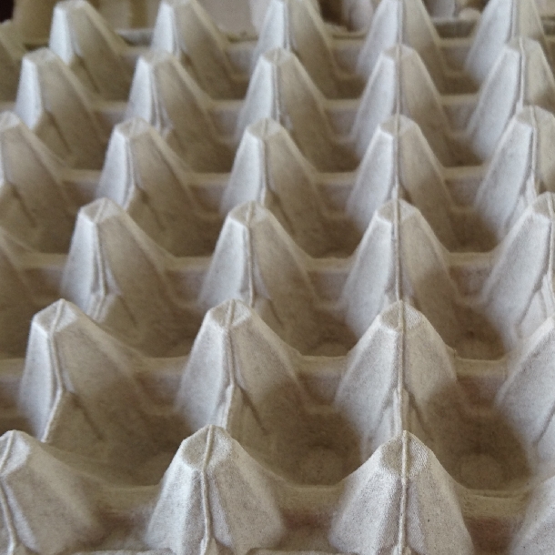 Bán vỉ giấy đựng trứng gà